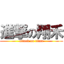 進撃の翔禾 (attack on titan)