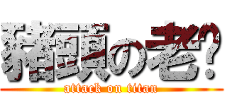 豬頭の老闆 (attack on titan)