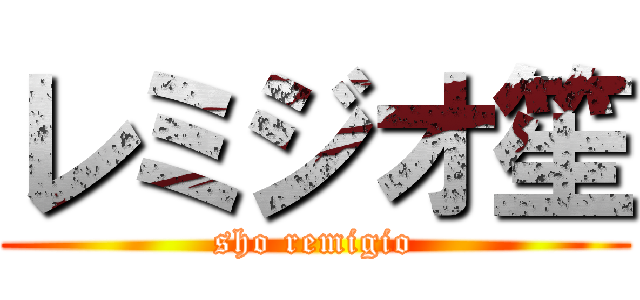 レミジオ笙 (sho remigio)
