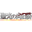 聖光の向日葵 (attack on titan)
