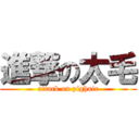 進撃の太毛 (attack on pighair)