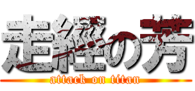 走經の芳 (attack on titan)