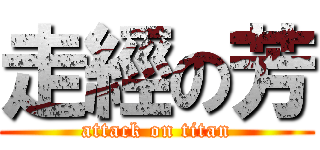 走經の芳 (attack on titan)