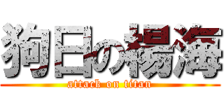狗日の楊海 (attack on titan)