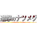 進撃のナツメグ (attack on titan)