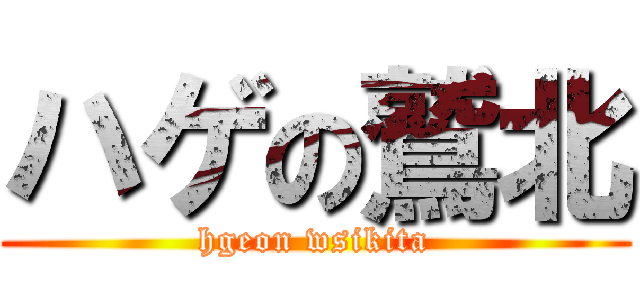 ハゲの鷲北 (hgeon wsikita)