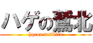 ハゲの鷲北 (hgeon wsikita)