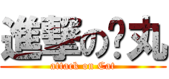 進撃の喵丸 (attack on Cat)