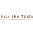 Ｆｏｒ ｔｈｅ ｔｅａｍ (attack on titan)