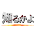 知るかよ (結論から言うと)