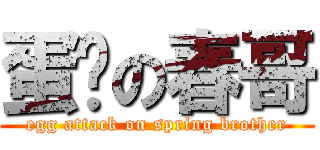 蛋擊の春哥 (egg attack on spring brother)