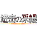 进击の采緹 (attack on titan)