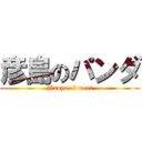 彦島のパンダ (Naoya of meet)