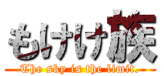 もけけ族 (The sky is the limit.)