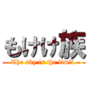 もけけ族 (The sky is the limit.)