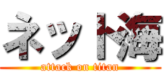 ネット海 (attack on titan)