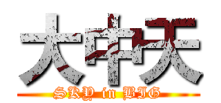 大中天 (SKY in BIG)