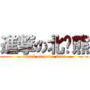 進撃の北极熊 (attack on polar bear)