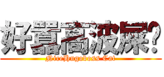 好囂高波屎貓 (NiceHugoboss Cat)