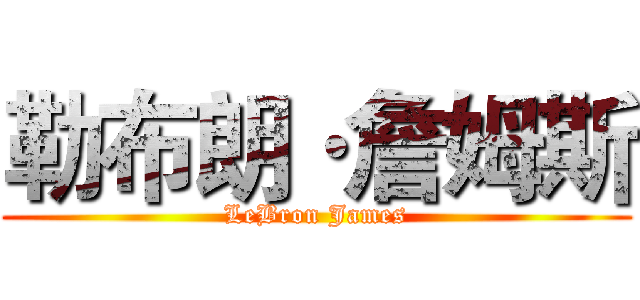 勒布朗·詹姆斯 (LeBron James)