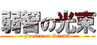 弱智の光束 (Feonix on GrindA)