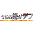 うちの嫁がデブ (my wife is fat)