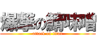 爆撃の鯖味噌 (attack on titan)