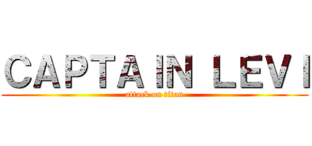 ＣＡＰＴＡＩＮ ＬＥＶＩ (attack on titan)