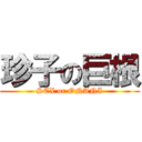 珍子の巨根 (SEX or ONANI)