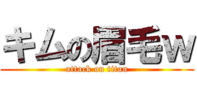 キムの眉毛ｗ (attack on titan)