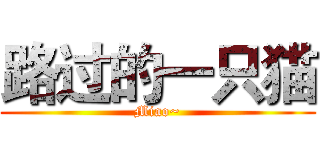 路过的一只猫 (Miao~)