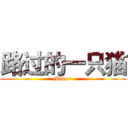 路过的一只猫 (Miao~)