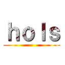 ｈｏｌｓ ()