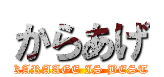 からあげ (KARAAGE IS BEST)