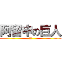 阿留申の巨人 (???)