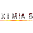 ＸＩ ＭＩＡ ５ ()