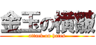 金玉の横皺 (attack on hates)