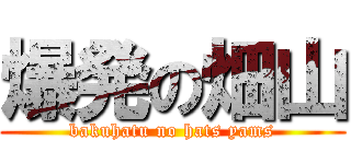 爆発の畑山 (bakuhatu no hats yams)