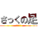 さっくの足 (クサクサ編)