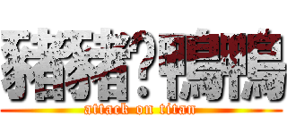 豬豬❤鴨鴨 (attack on titan)