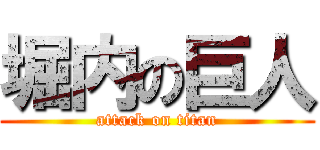 堀内の巨人 (attack on titan)