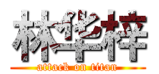 林华梓 (attack on titan)