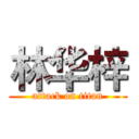 林华梓 (attack on titan)
