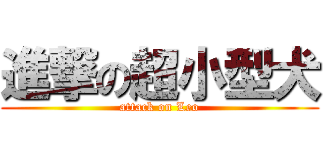 進撃の超小型犬 (attack on Leo)