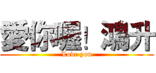 愛你喔！鴻升 (Love you)