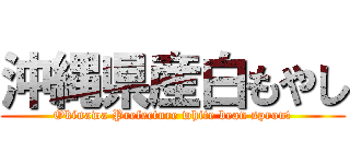 沖縄県産白もやし (Okinawa Prefecture white bean sprout)