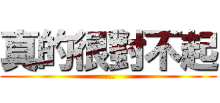 真的很對不起 (....)