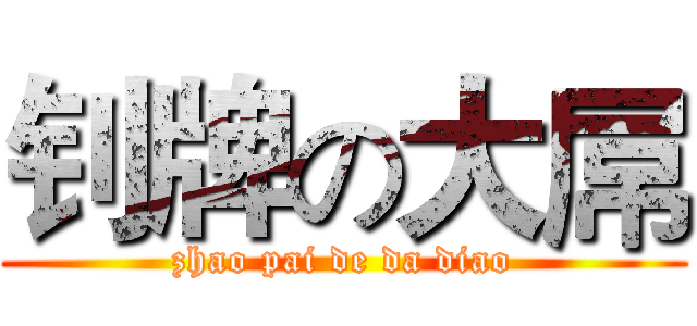 钊牌の大屌 (zhao pai de da diao)