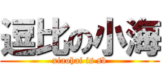 逗比の小海 (xiaohai is sb)