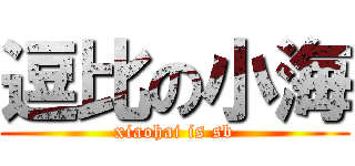 逗比の小海 (xiaohai is sb)